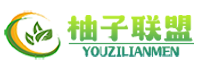 柚子联盟-柚子联盟合伙人-柚子联盟代理合伙-柚子联盟官方-柚子联盟app平台-柚子联盟合伙人